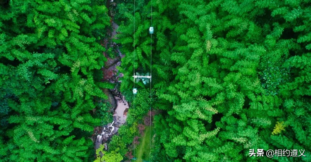遵义可以放松看风景的地方,遵义附近避暑打卡景点