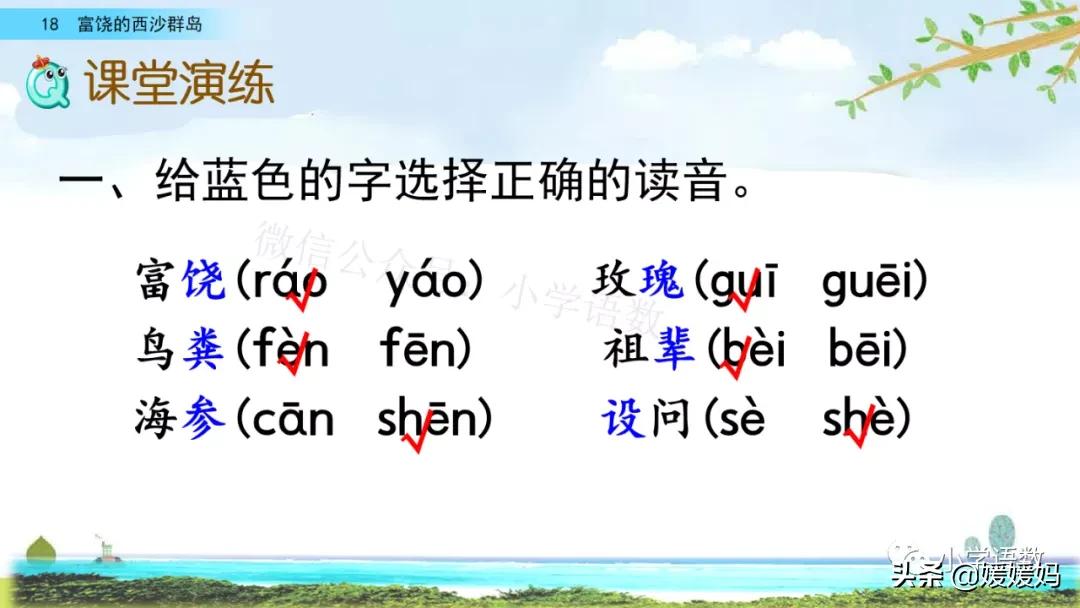 三年级第18课富饶的西沙群岛视频,三年级上册18富饶的西沙群岛笔记