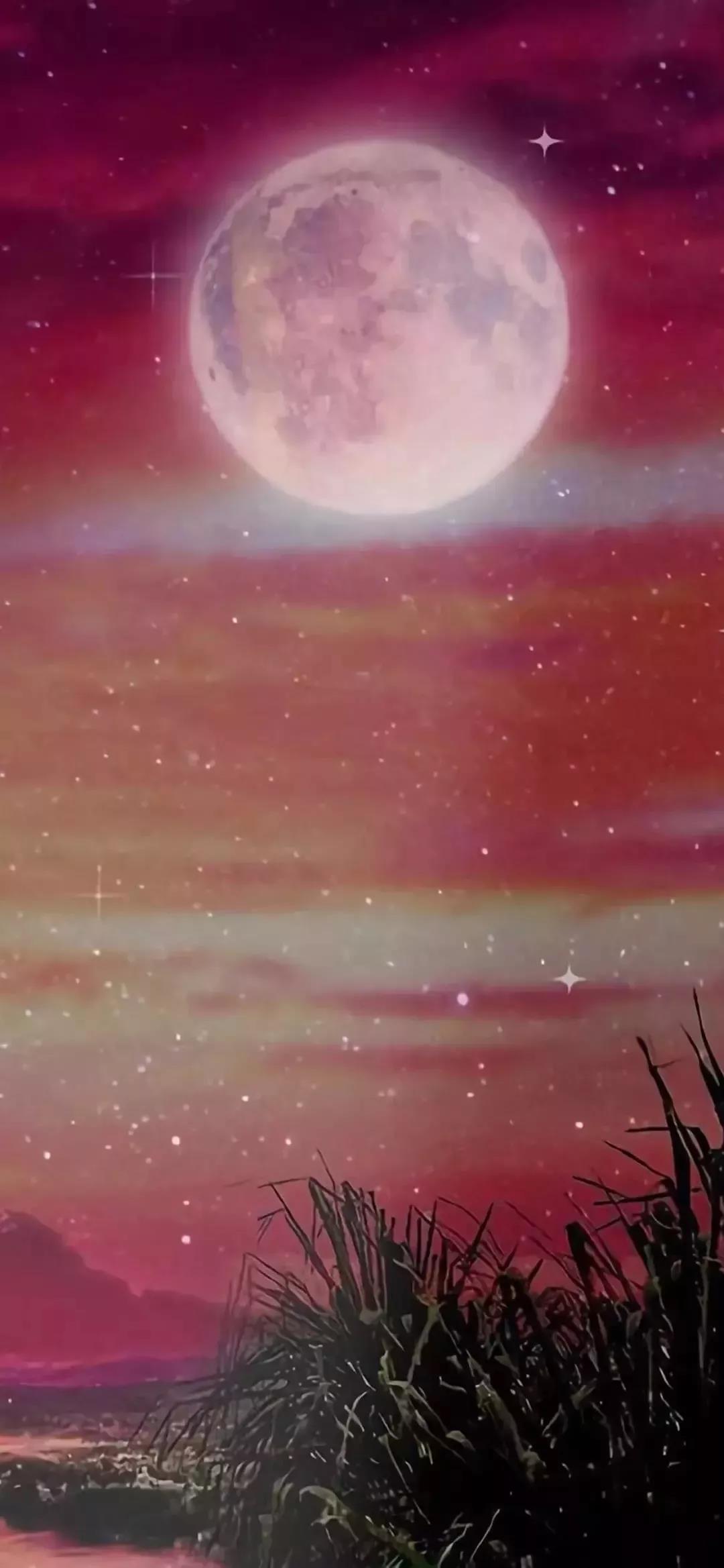 手机壁纸精选好看的养眼壁纸大图,平板壁纸9.7寸高清壁纸简约唯美