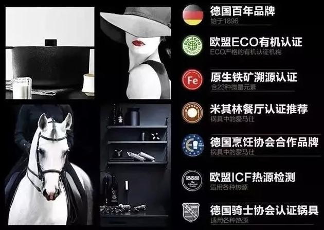 德国原装进口双立人珐琅锅做饭,法国原单铸铁珐琅锅