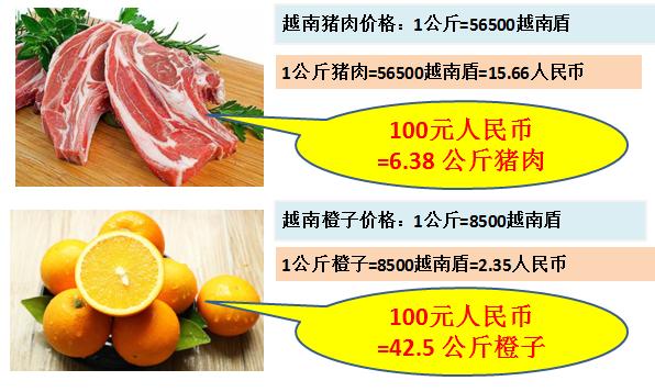 看看100元人民币在国外能购买到什么东西