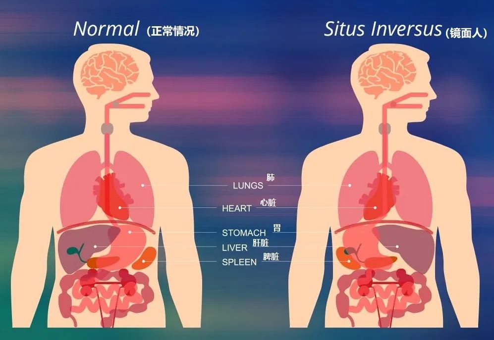 武汉发现38岁镜像人，泰国镜像人被处死又复活，镜像人是什么？
