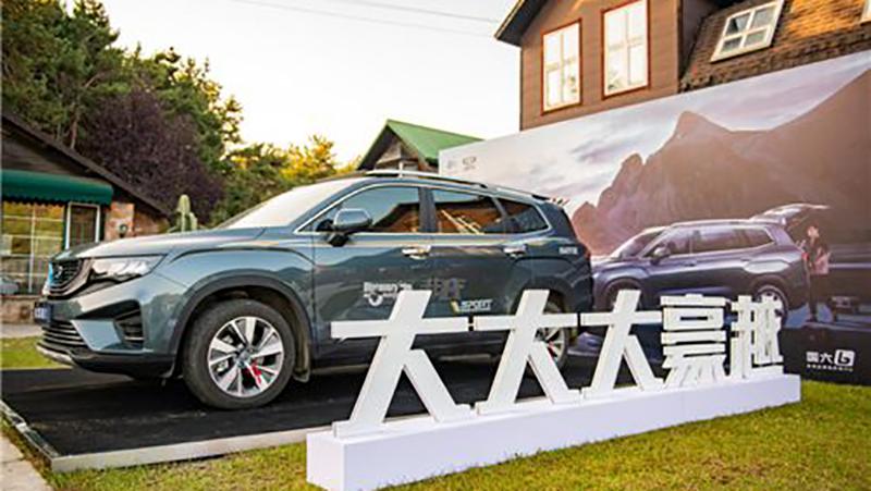 极氪001全网吐槽,极氪001的用户吐槽