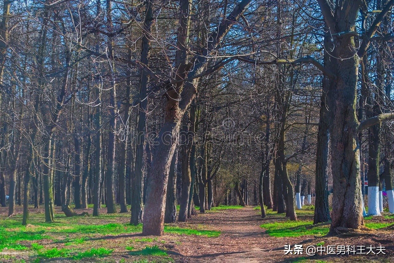 过度劳累导致肾虚吃什么,肾精亏虚严重脱发严重