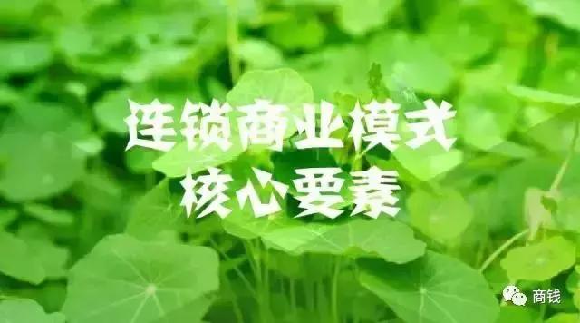 连锁商业模式,无限连锁时代?