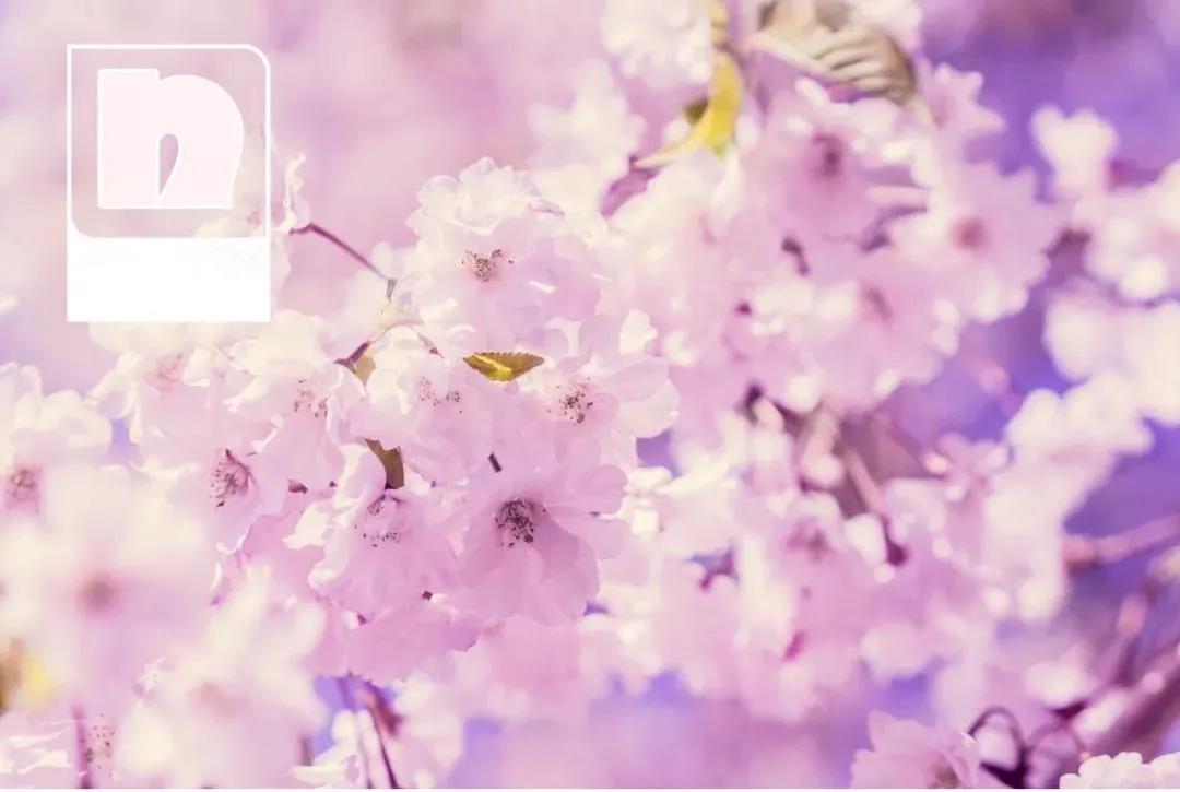 马卡龙清新色系搭配参考,马卡龙色系怎么搭配