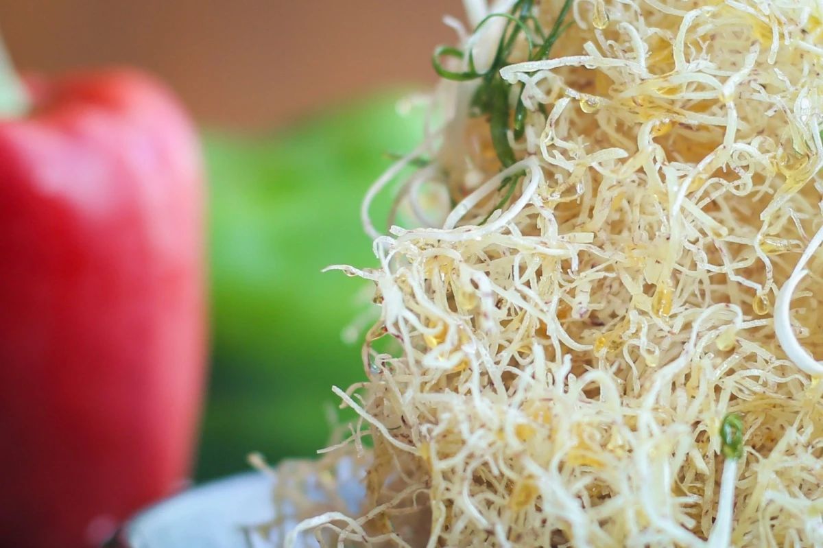 厦门香格里拉酒店中餐,厦门茶点香格里拉