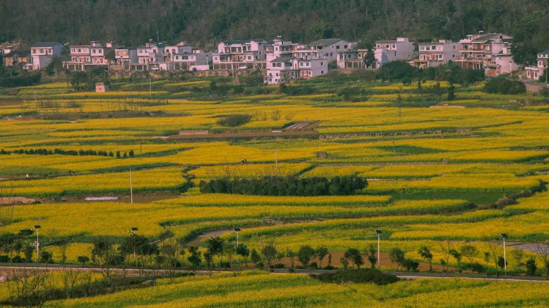 菜吧生意好做吗,菜吧民宿是真的吗