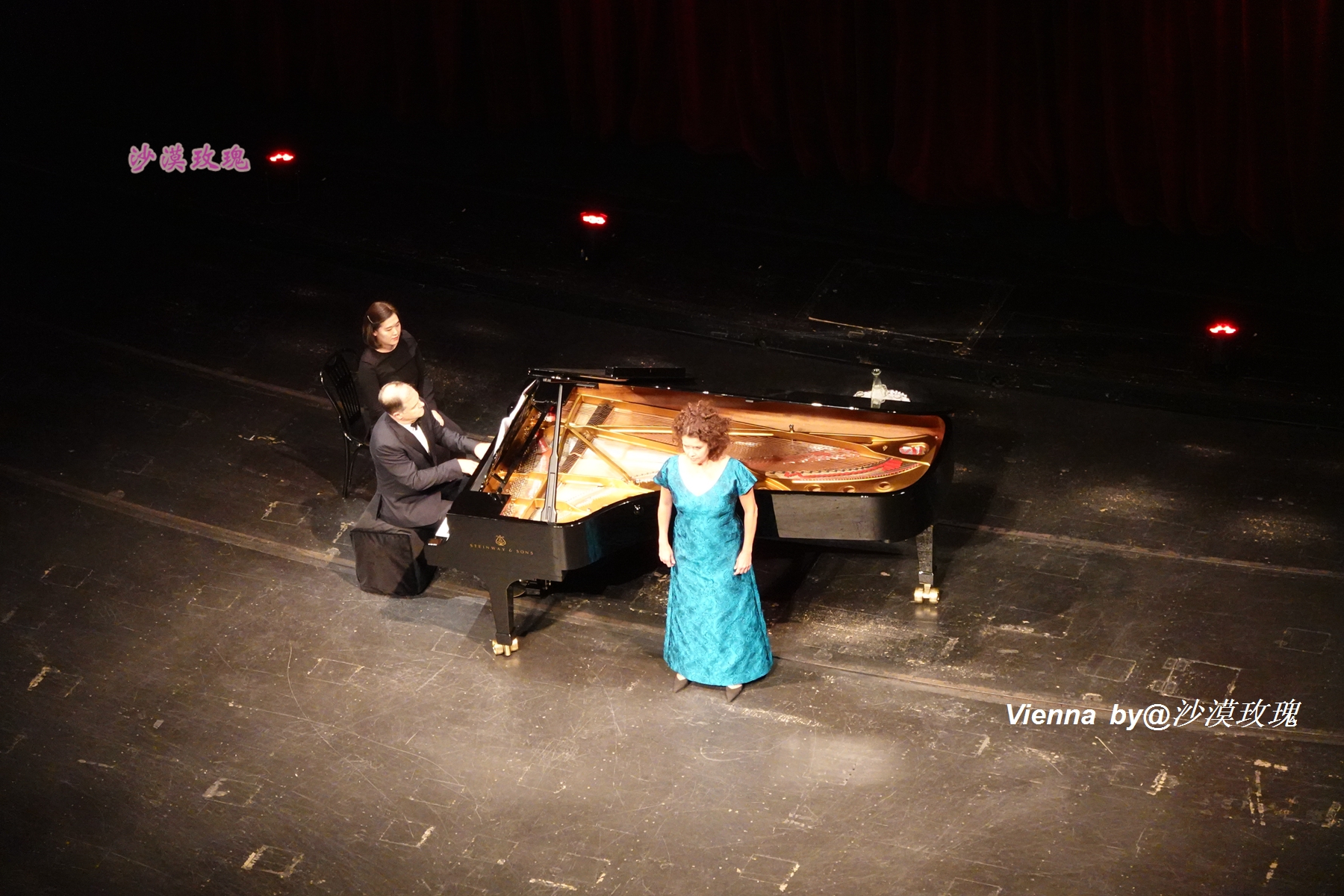 只要3欧元,就能在维也纳听一场世界级的音乐