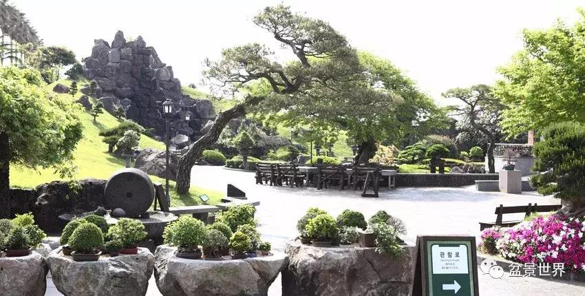 走进韩国思索之苑,这里算得上世界最美的庭园吗