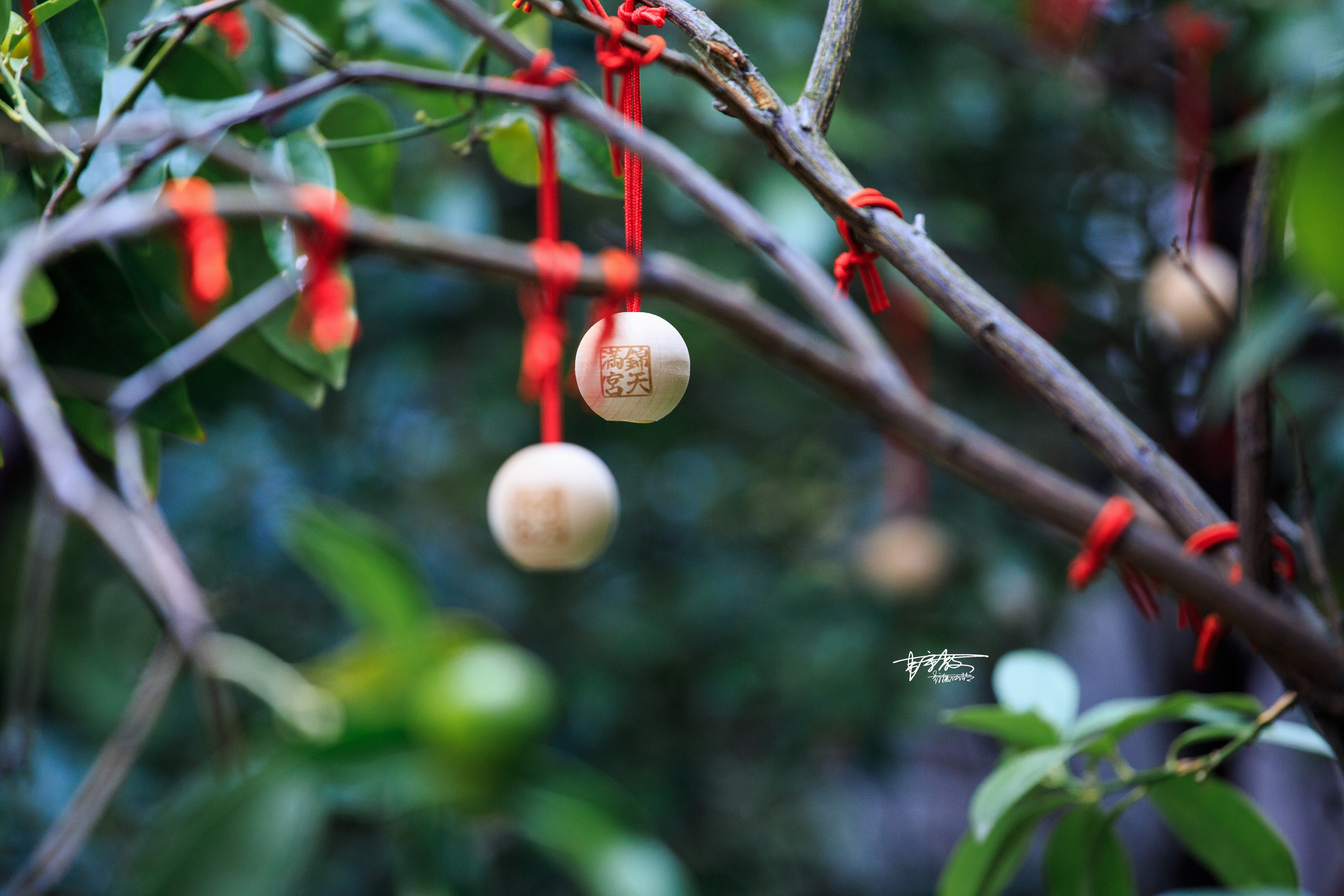 八坂神社和清水寺有何不同,伏见稻田清水寺八坂神社