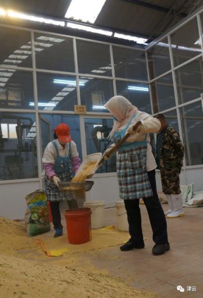 大锅饭合作社,小岗村大包干后的变化