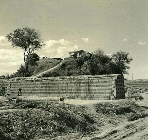 四川104岁老农去世留下奖状,河南老农因一份奖状暴露身份