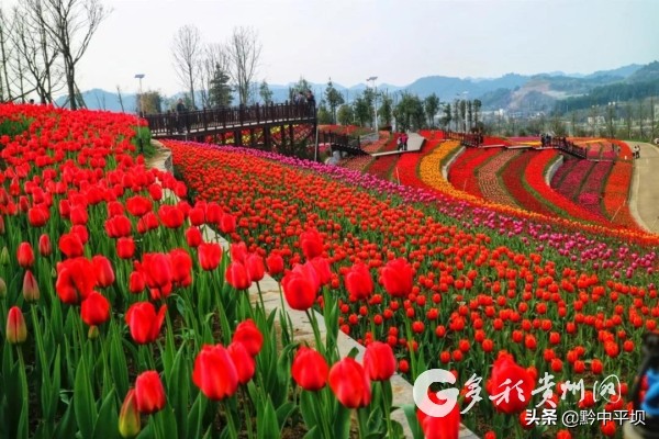 贵州旅游景点门票全免票,2021贵州旅游景点门票免费政策