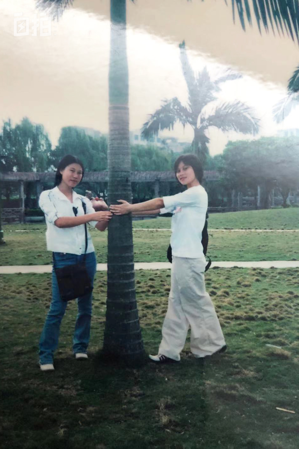 我34岁生了七个孩子,生8个孩子社会抚养费