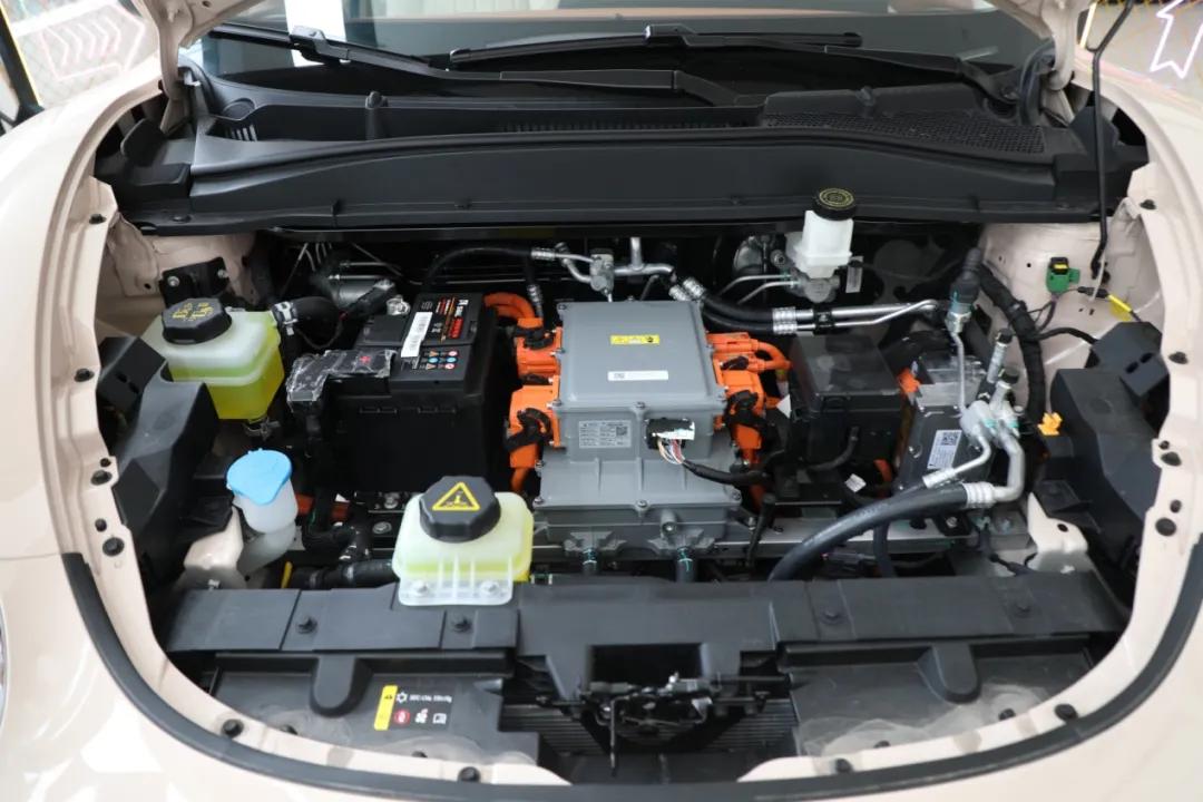 “七夕节”快到了送啥玫瑰不如送“欧拉好猫”吧