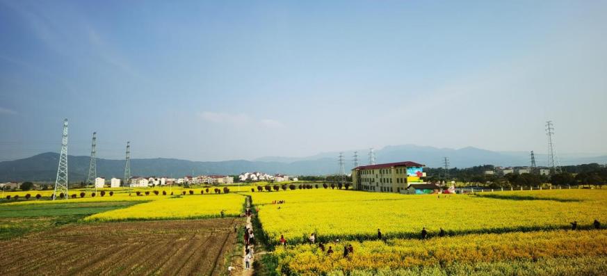 为什么最近南昌人这么多,这几天为啥南昌人这么多