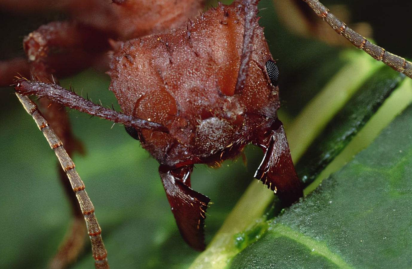 这里是蚂蚁农场，我种田的地方！