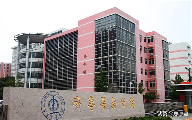 考上齐鲁医药学院有前途吗,考上齐鲁医药学院考研有前途吗