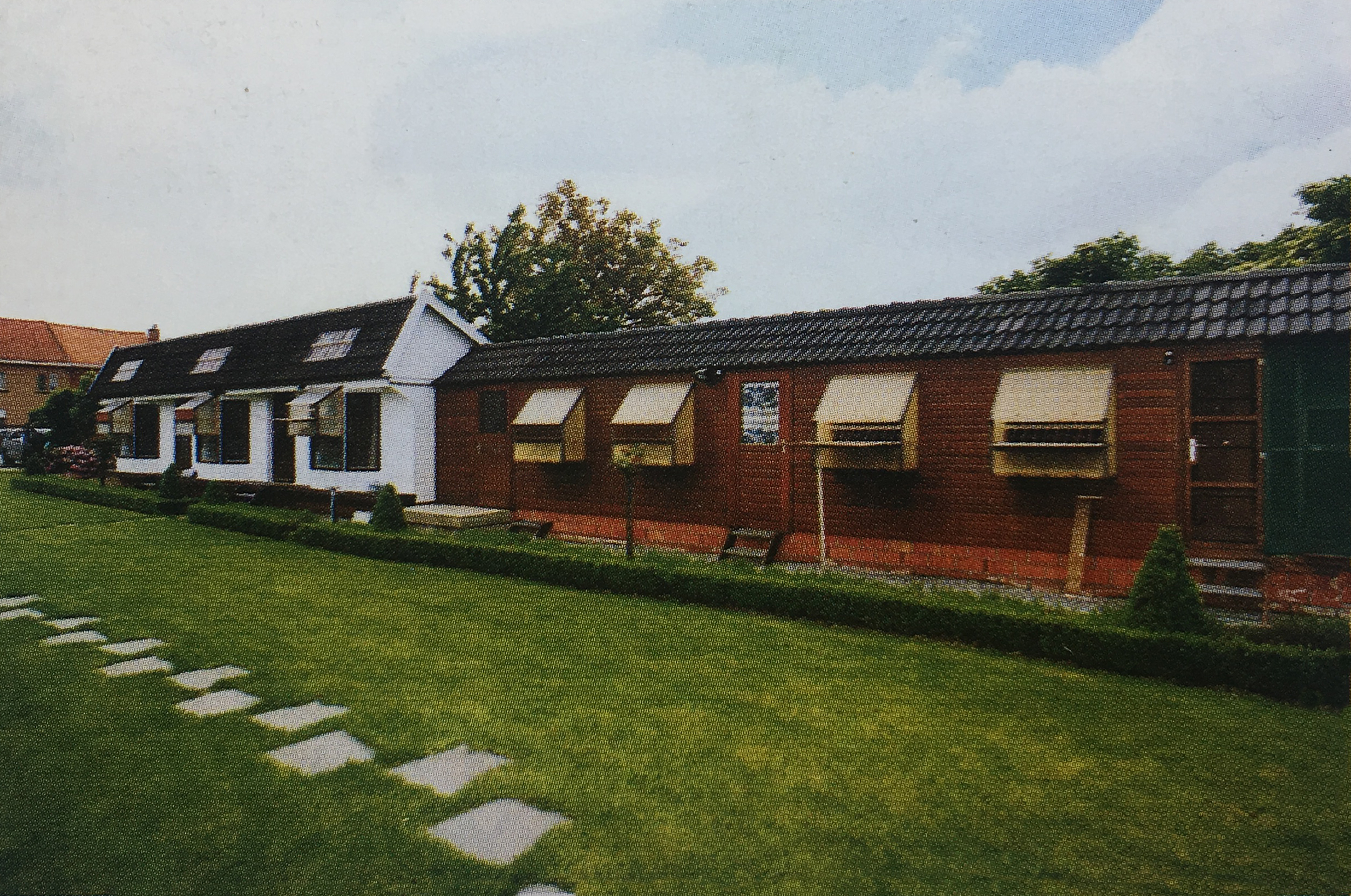 赛鸽羽色育种特点,真正的林波尔赛鸽体型