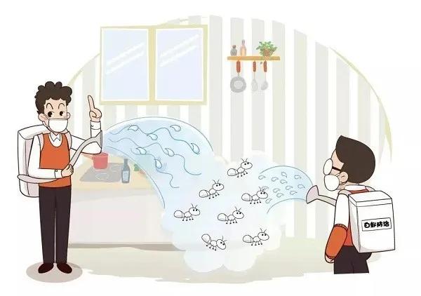 你以为的飞蛾可能是白蚁！又到白蚁肆虐时，防治记牢这七点