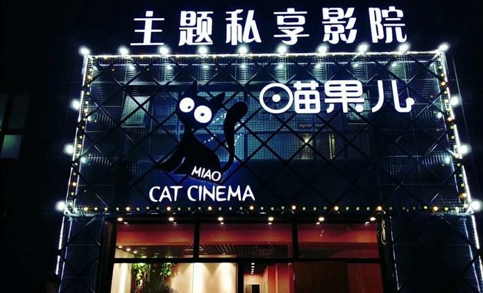 除了ktv还有哪里能唱歌,除了ktv什么地方可以唱歌玩