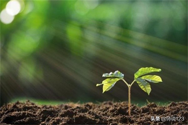 ktv11岁女孩被侵害的事件后续,ktv13岁女孩事件处理结果