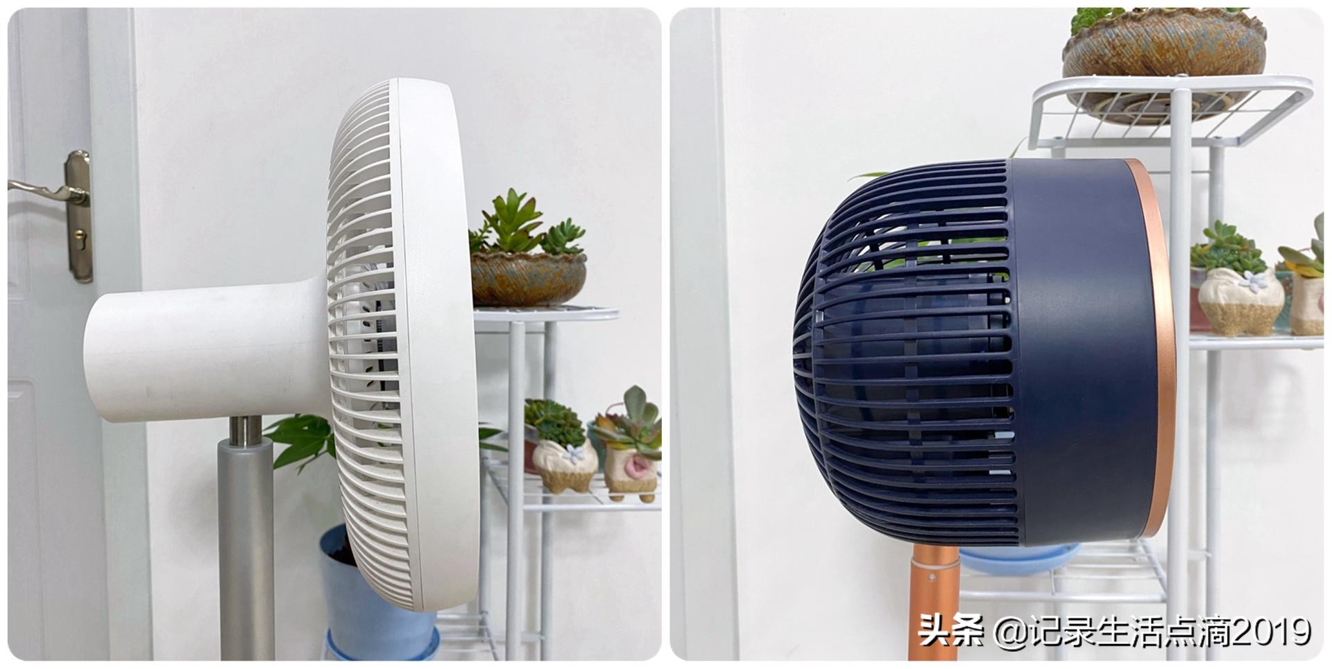 空气循环扇真的比落地扇好吗,空气循环扇和无叶扇哪个好用