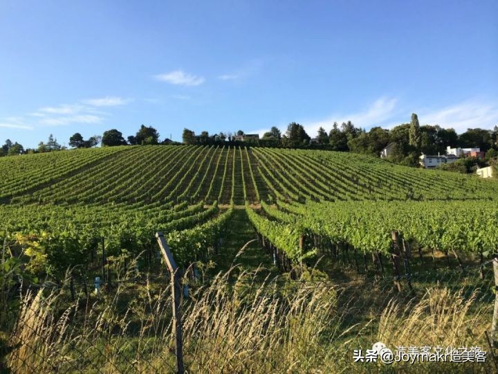 维也纳被誉为什么,维也纳最好的城市