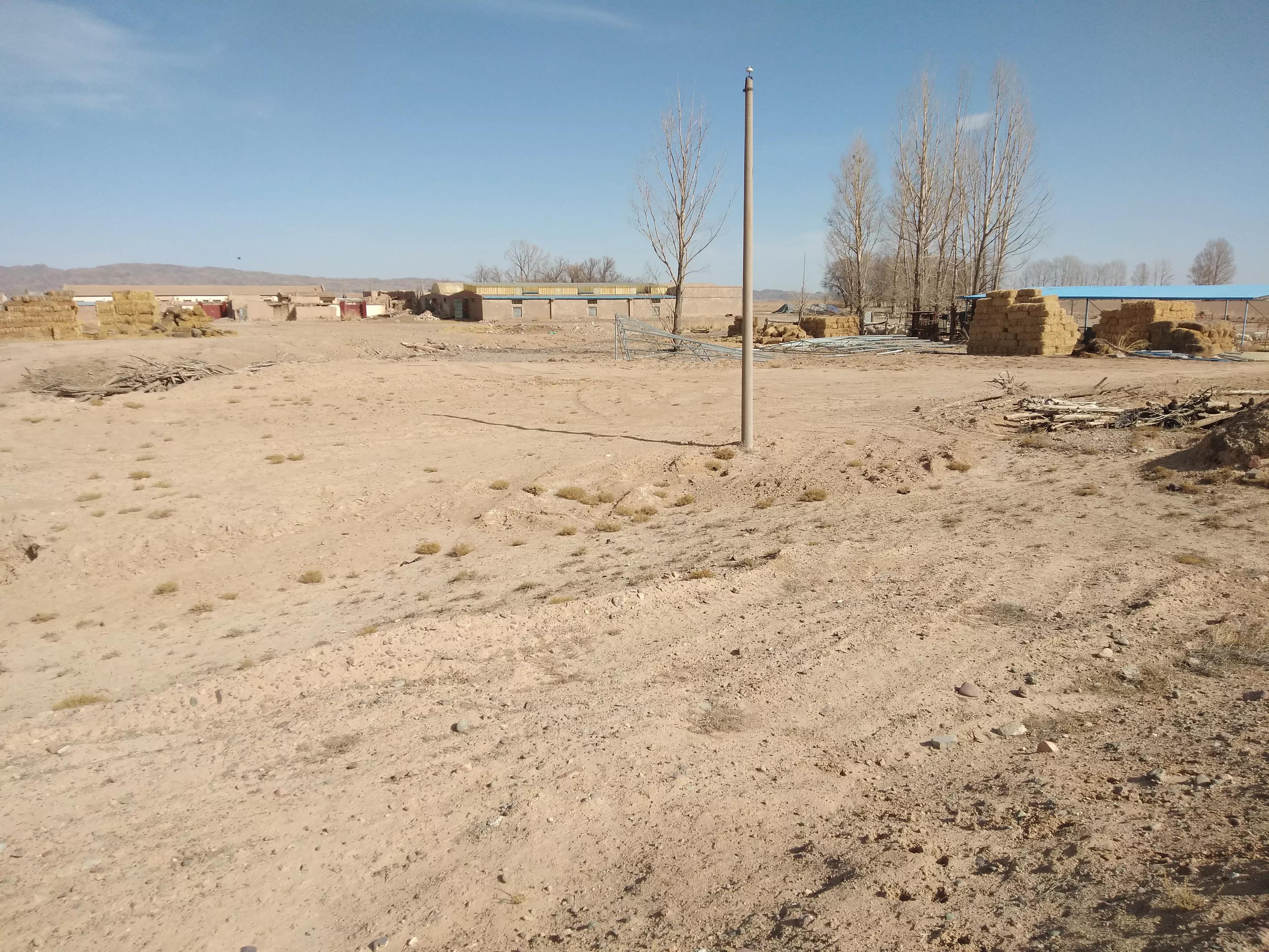 1斤鹿茸4000元,农户却宁愿养羊也不愿养鹿,亲历者讲出实情