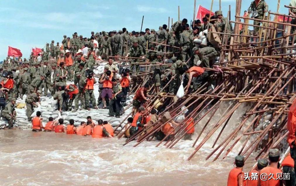 哈萨克斯坦冻死的牛,哈萨克斯坦动物被冻成冰雕