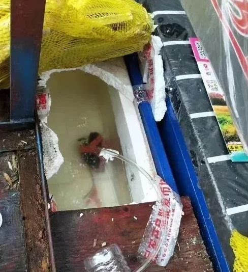 比毒蛇还毒的东西,比毒蛇还毒的生物