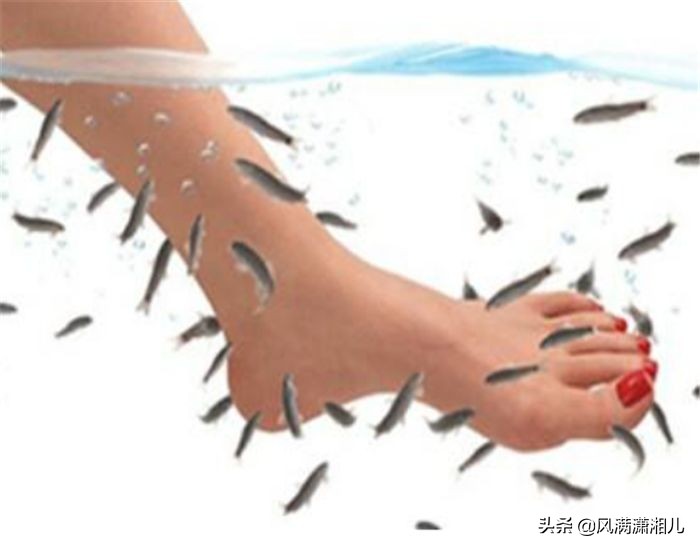 做鱼疗导致鱼儿全死原因,做鱼疗导致鱼儿全死搞笑视频