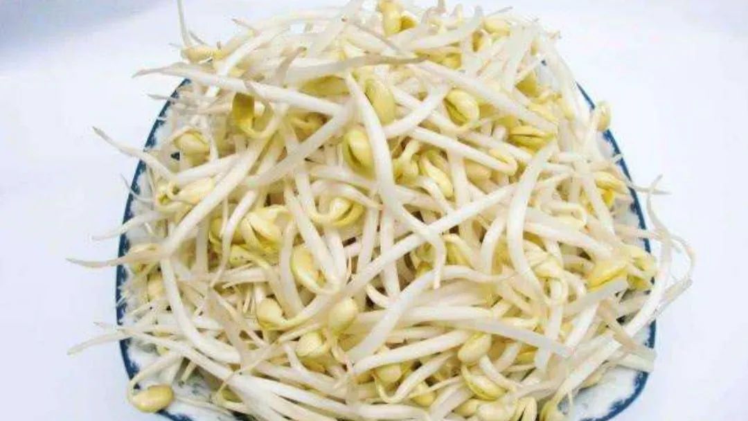 低脂爽脆豆芽菜,爽脆豆芽菜抖音团购