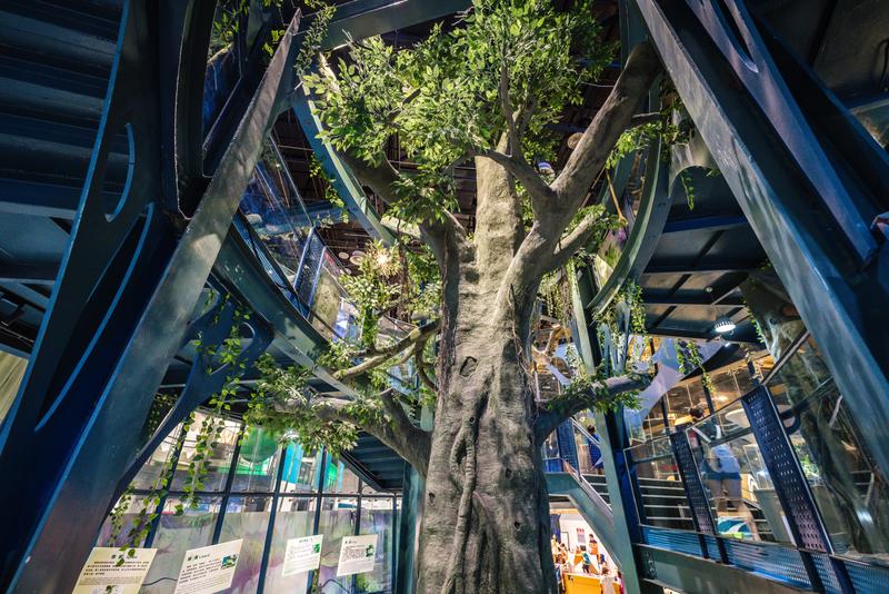 厦门冬春攻略,夏天厦门旅游攻略美食篇