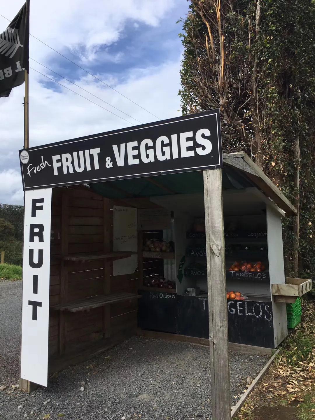 记忆中的旅行之新西兰(北岛)