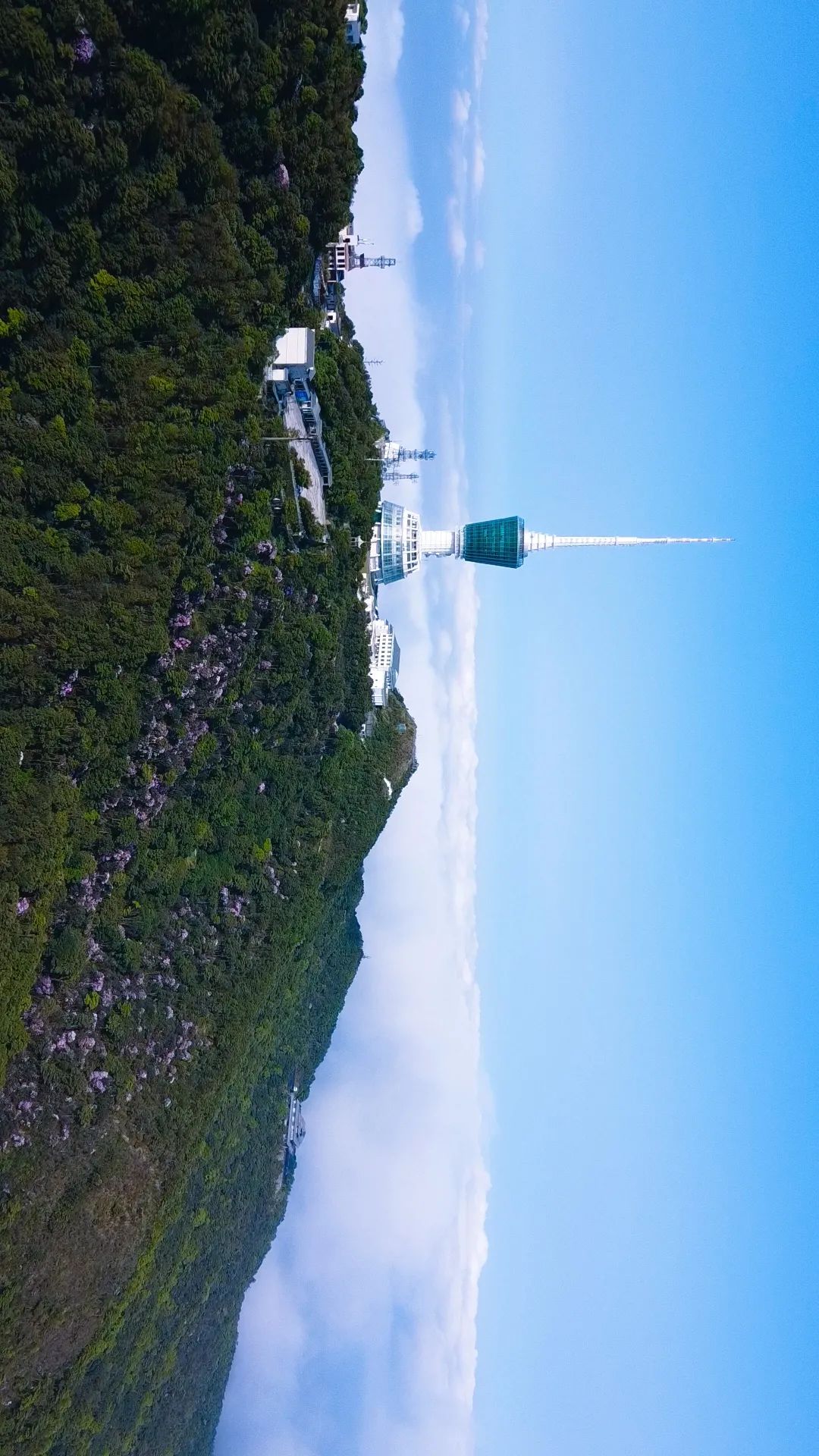 什么是深圳特产,什么是深圳银行