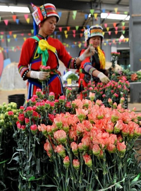 月销100W+怎么做到的?——国阜电商