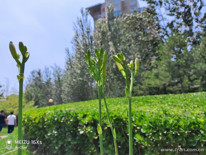 魅族16xs深度评测,魅族16x和16xs评测对比