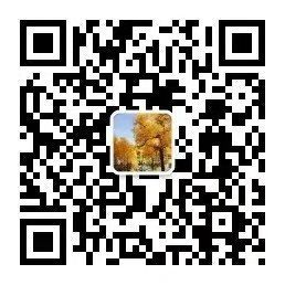 仪陇县新闻联播,仪陇县新闻联播视频