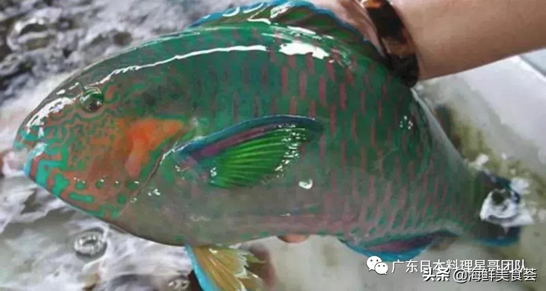 这5种淡水鱼值得多吃,中国最好吃的鱼类排行榜