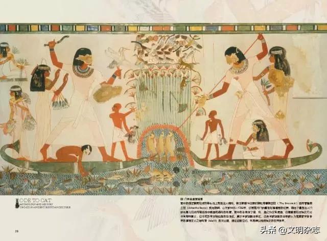 在古埃及神话中的猫传说,古埃及和猫的历史故事