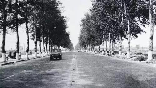 地铁三号线延长至北辰站,地铁三号线通车了吗