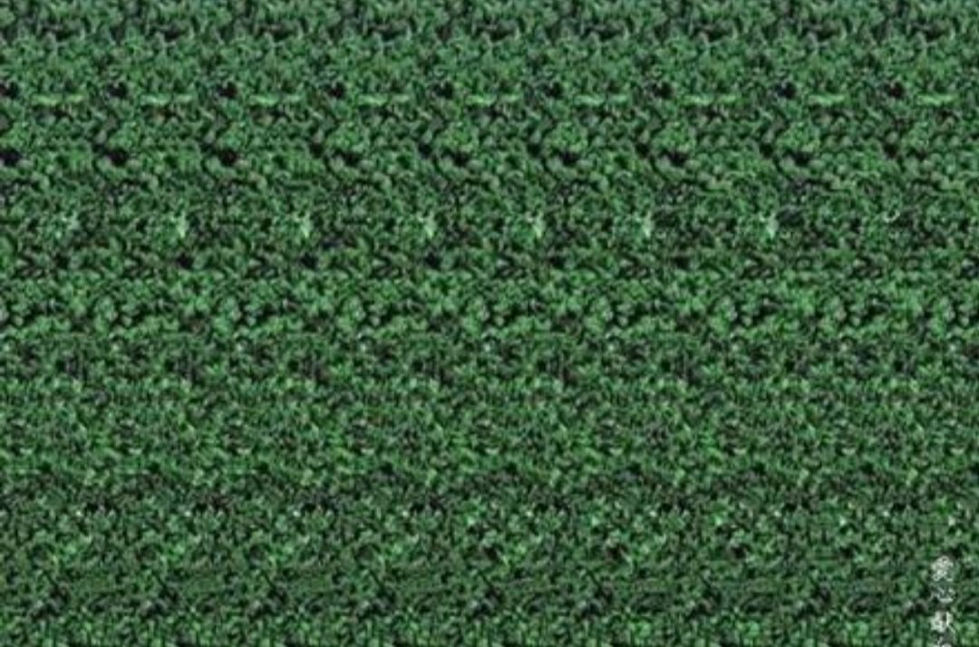 好看的立体图片大全,怎么看三维立体画图片