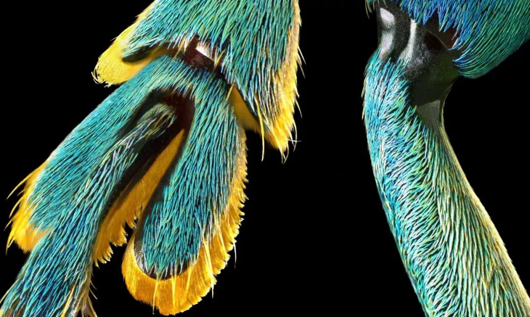 像素低提高像素能改变画质吗,像素和画质的说明