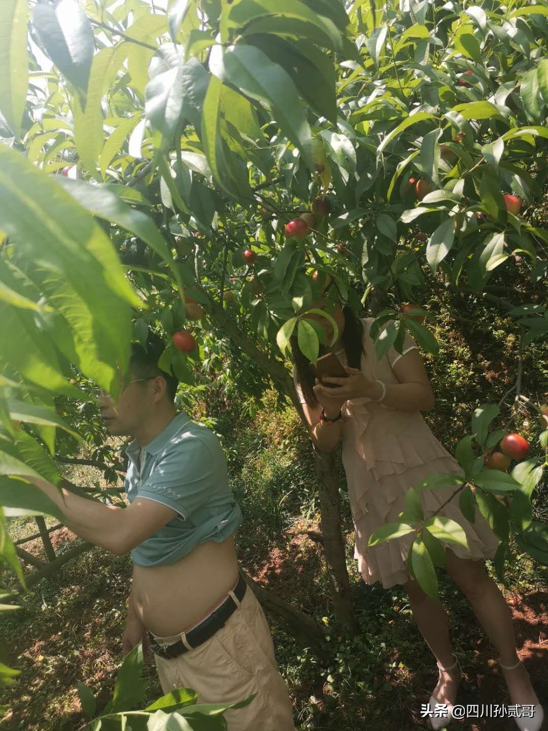 老村长农村电商,老村长农副产品直播间