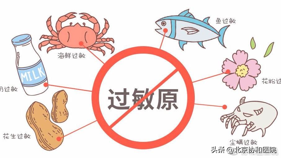 食物过敏应该如何应对,食物过敏怎么缓解