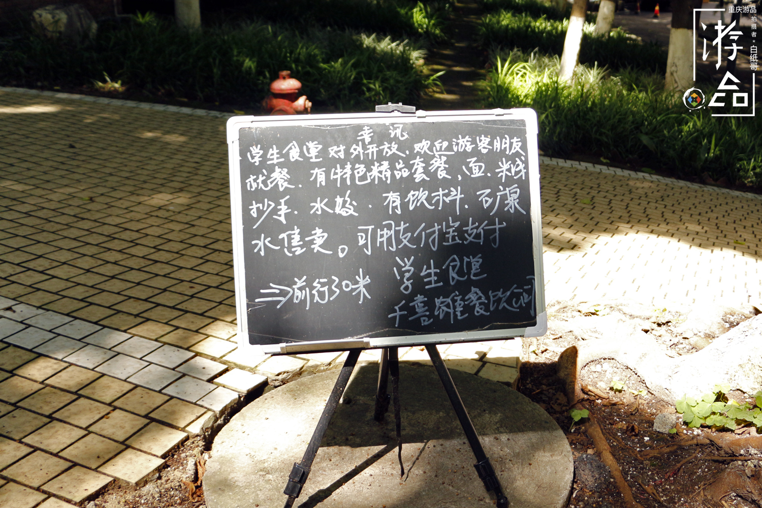 重庆的大学校园风景有多美,重庆川美大学周围有什么玩的