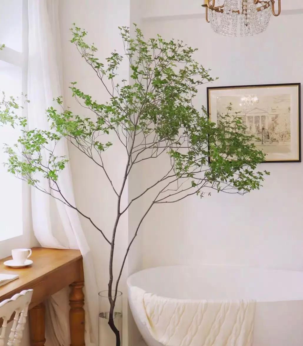 日本吊钟花:植物界的爱马仕