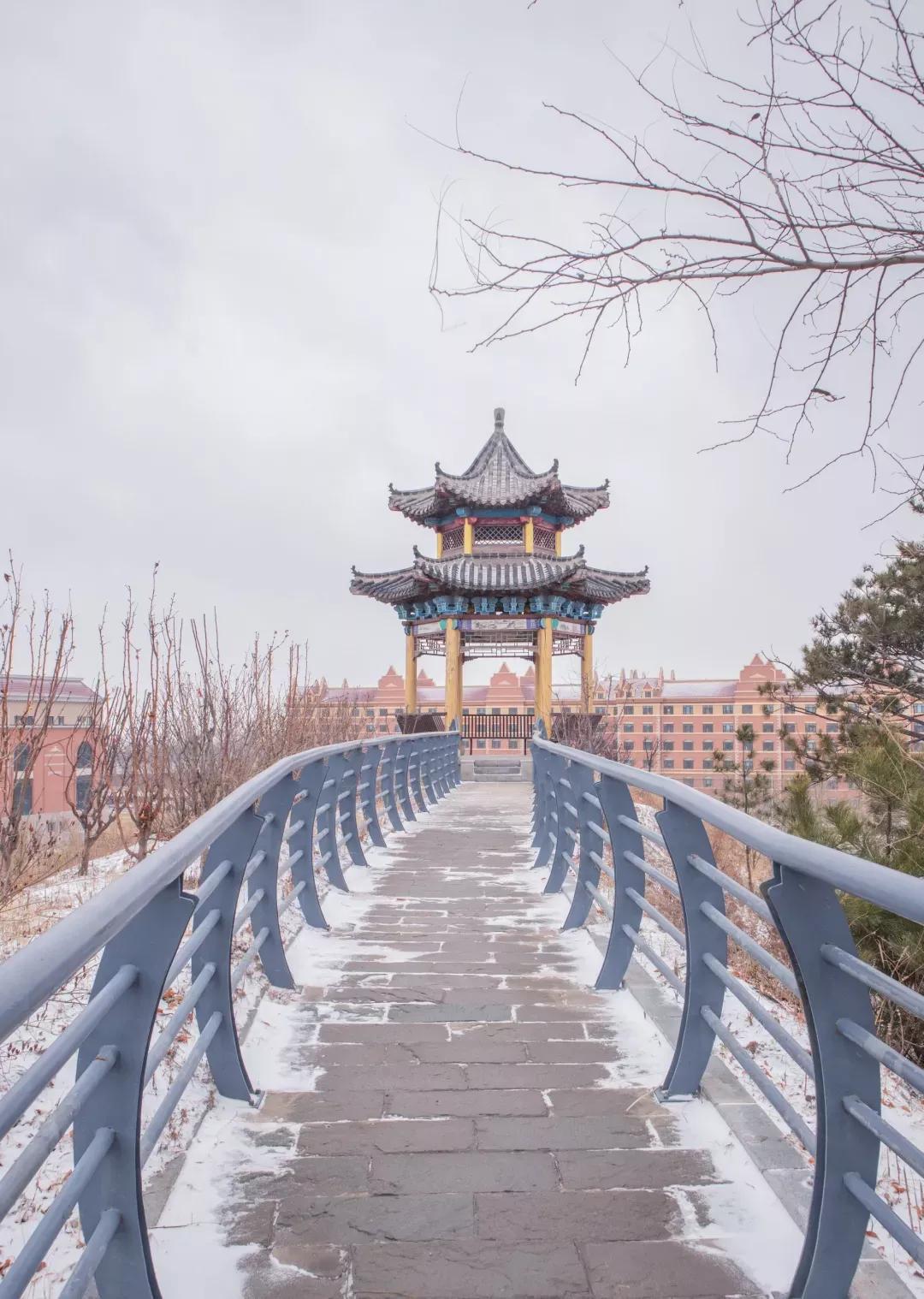 辽宁省普通高等院校（二十二）渤海大学